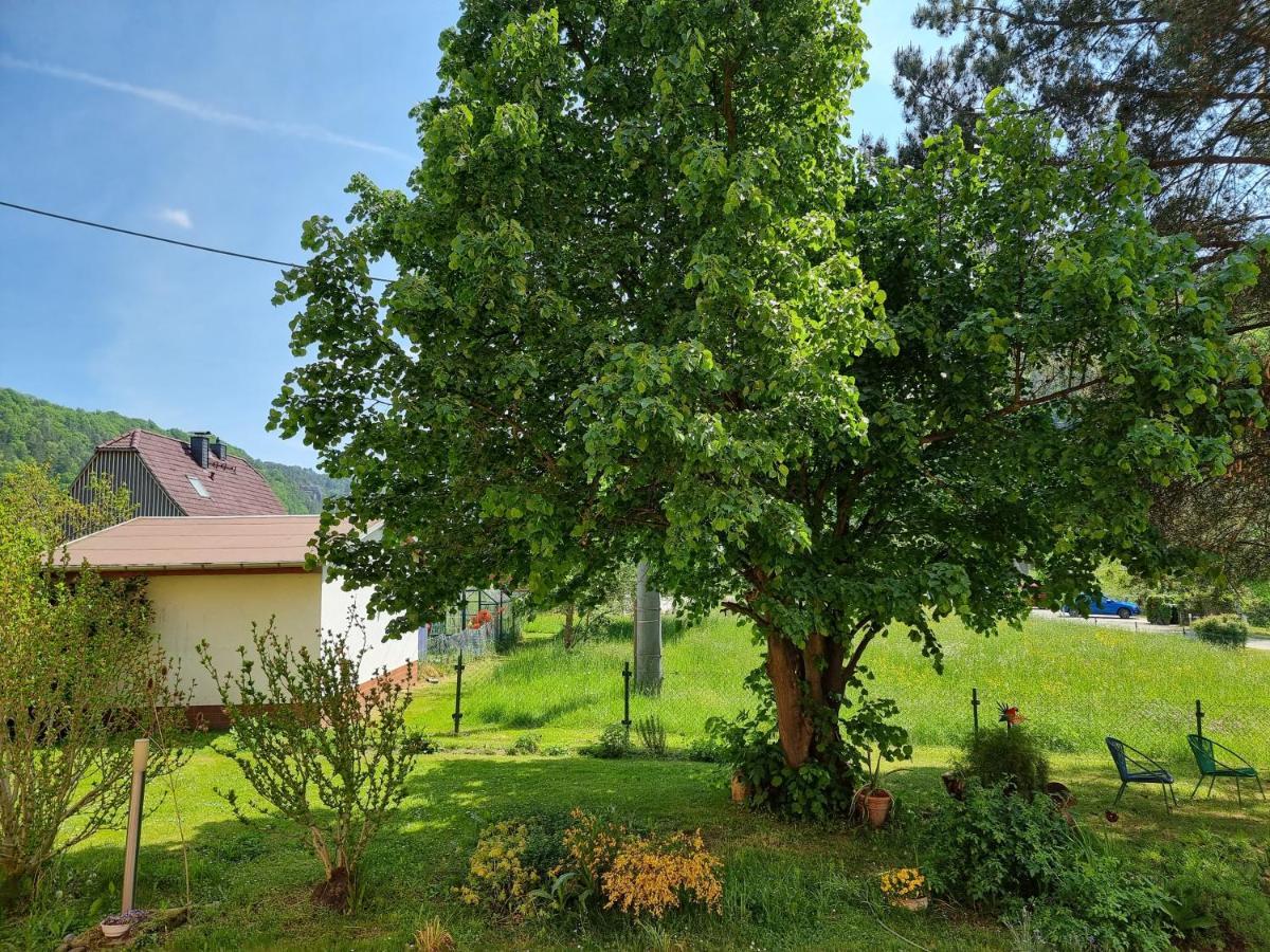 Ferienappartements Elbaussicht - Krippen Bad Schandau Exterior foto